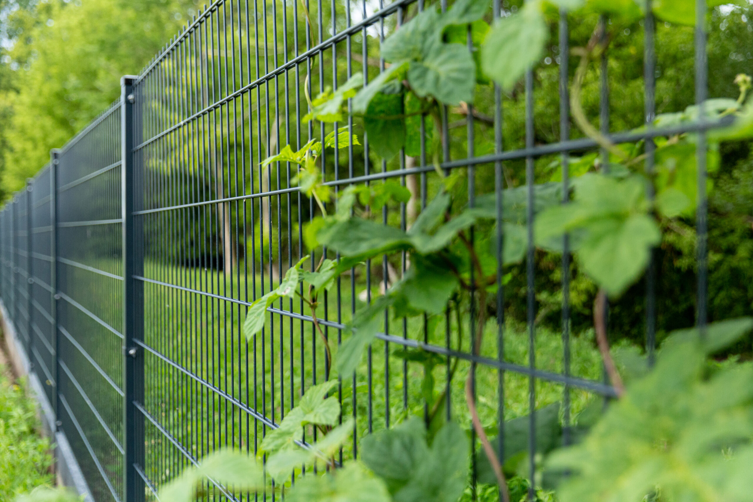 ogrodzenia-panelowe-2d